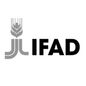 Client Logo_IFAD
